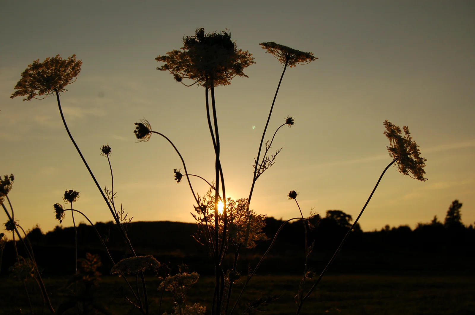 Fotografie Tomasza Ciesielskiego - inspiracje - kadr 08